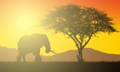 Картина, постер, плакат, фотообои "realistic illustration of african landscape with safari, tree and elephant and grass under orange sky with rising sun. sunshine and sunbeam - vector", артикул 275751640