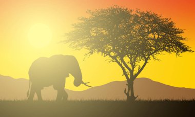 Yükselen güneş ile turuncu gökyüzü altında safari, ağaç ve fil ve çim ile Afrika manzara Gerçekçi illüstrasyon. Güneş ışığı ve güneş ışını - vektör