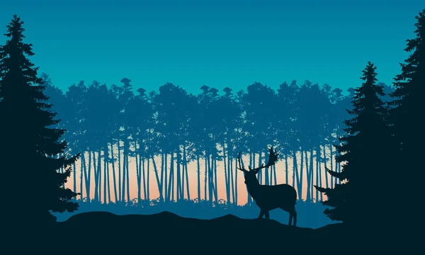 Realistic illustration of landscape with coniferous forest and morning blue sky with rising sun. Deer with antlers standing. Suitable as advertising for hunting or nature - vector — Stock Vector