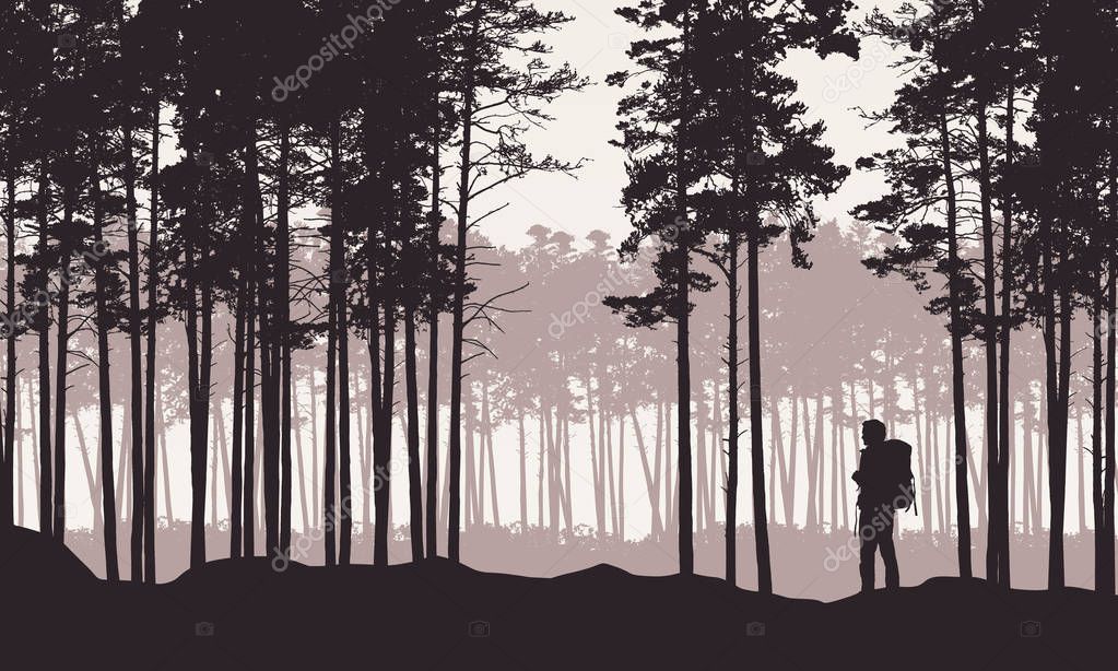 Realistic illustration of landscape with coniferous forest with pine trees under retro sky. Man hiker with backpack on a trip or walk - vector