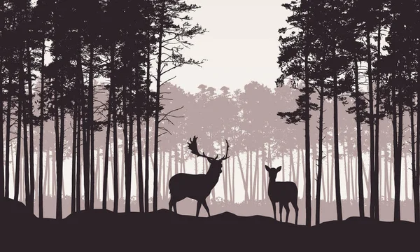 Realistische illustratie van het landschap met Conifer bos met dennenboom en ochtend retro hemel. Herten en doe met geweien staan. Geschikt als reclame voor jacht of natuur-vector — Stockvector