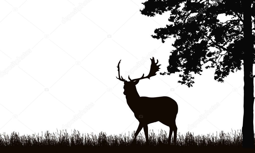 Realistic black illustration of standing deer with antlers, grass and high tree. Isolated on white background, with space for text - vector