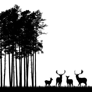 Ormanda boynuzları, çim ve yüksek ağaç ile ayakta geyik sürüsü gerçekçi siyah Illustration. Beyaz arka planda yalıtılmış, metin-vektör için alan