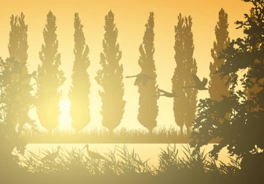 Realistic landscape illustration with wetlands and swamp. Reeds and grass with trees, poplars and flying birds. Storks and swans under morning orange sky with sunlight - vector clipart