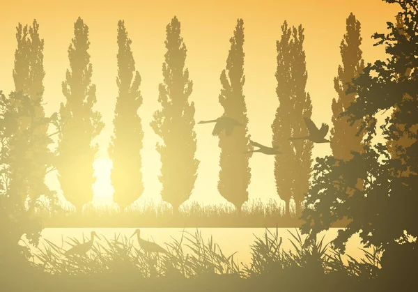 Ilustrație peisagistică realistă cu zone umede și mlaștină. Trestie şi iarbă cu copaci, plopi şi păsări zburătoare. Berze și lebede sub cerul portocaliu dimineața cu lumina soarelui vector — Vector de stoc