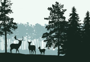 Yeşil bahar veya sonbahar gökyüzü altında, iğne yapraklı orman, geyik ve aile ile peyzaj gerçekçi Illustration-vektör