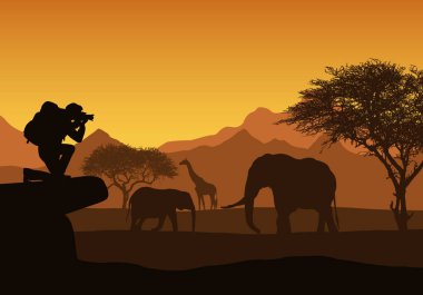 Dağ peyzaj, ağaçlar ve fil ve zürafa ile Afrika Safari gerçekçi Illustration. Sırt çantası ile turist hayvanların fotoğraf çekmek alır. Yükselen güneş ile turuncu gökyüzü altında-vektör