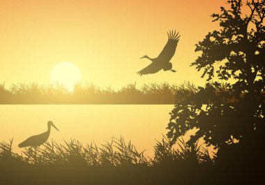 Realistic illustration of wetland landscape with river or lake, water surface and birds. Stork flying under orange morning sky with rising sun - vector clipart