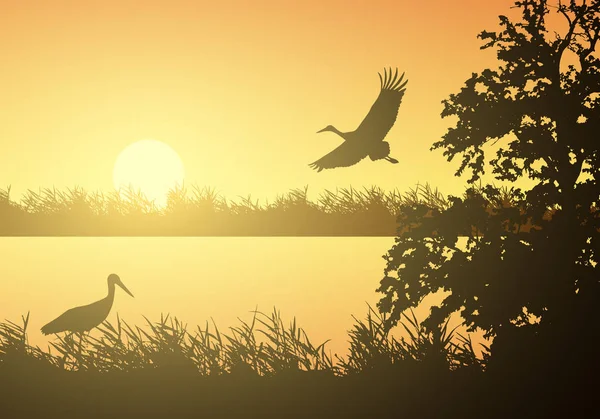 Realistic illustration of wetland landscape with river or lake, water surface and birds. Stork flying under orange morning sky with rising sun - vector — Stock Vector