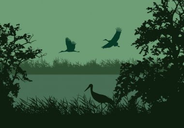 Nehir veya göl, su yüzeyi ve kuşlar ile Wetland manzara gerçekçi Illustration. Yeşil sabah gökyüzü-vector altında uçan Stork