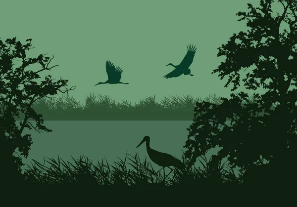 Realistická ilustrace mokní krajiny s řekou nebo jezerem, hladinou vody a ptáky. Čáp létající pod zeleným jitřním nebeským vektorem — Stockový vektor