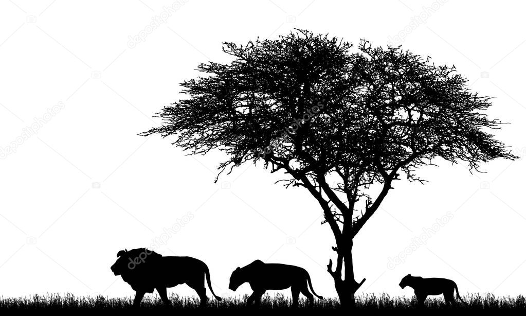 Realistic illustration of African safari landscape with tree, lion