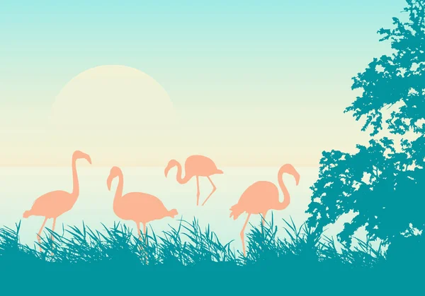 Realistic illustration of African landscape on sea shore with flock of flamingos, green-orange sky and rising sun - vector — Stock Vector