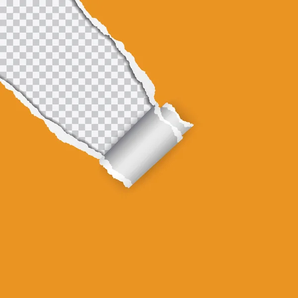 Realistische Darstellung orangefarbenen Papiers mit gerissener und aufgerollter Ecke, isoliert auf transparentem Hintergrund mit Platz für Text - Vektor — Stockvektor