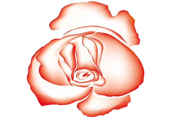 Beyaz Zemin Üzerine Kırmızı Gül Desenli Kontur Çizim — Stok fotoğraf