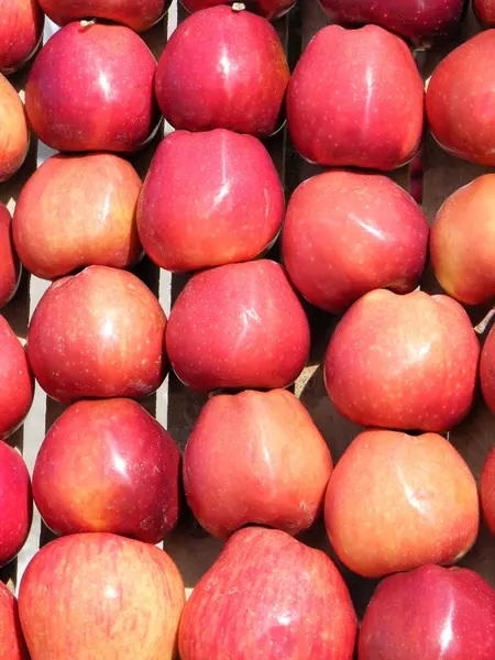 Manzanas Rojas Una Caja Como Fondo — Foto de Stock