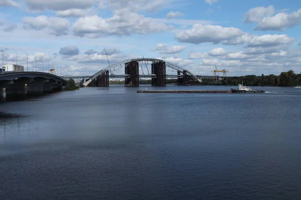 Grande Vida Fluvial — Fotografia de Stock