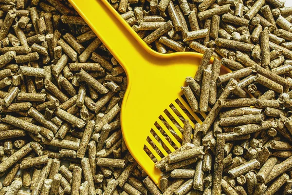 Kedi ahşap çöp ve sarı showel yukarıda, yakın-up en iyi düz görünüm