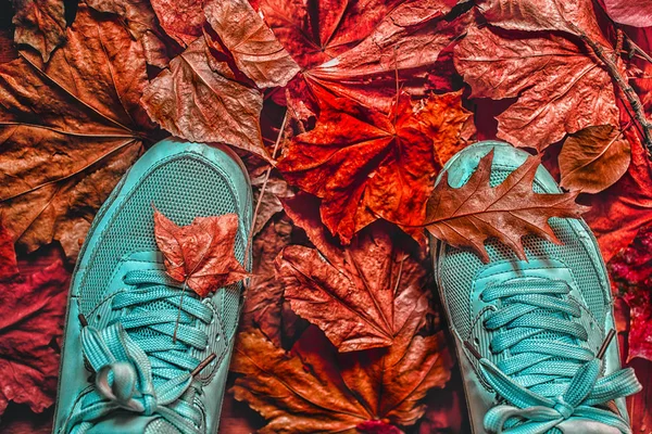 Podzimní procházka — Stock fotografie