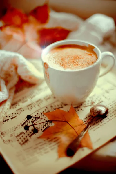 Egy csésze cappuccino fahéjjal. — Stock Fotó