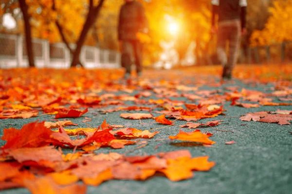 Autunno foglie cadute sul sentiero Foto Stock