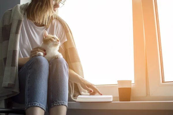 genç kız bir battaniye ile kaplı kedisi ile pencerede oturur, bir kitap okur ve çay içecekler, o okumak için kedi öğretir, metin için yer kopyalamak