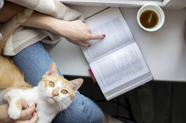 Jovem coberta com um cobertor senta-se na janela com seu gato, lê um livro e bebe chá, ela ensina o gato a ler, espaço cópia para texto — Fotografia de Stock