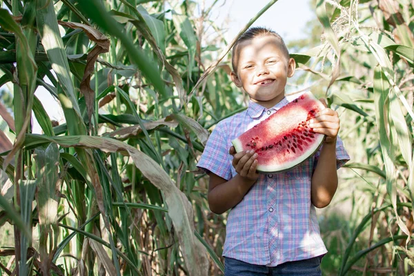Boy of 8 years old stands in a corn field in the village and holds a large piece of watermelon, the sun shines in his eyes, a little schoolboy smiles on a summer day, copy space — Stock Photo, Image
