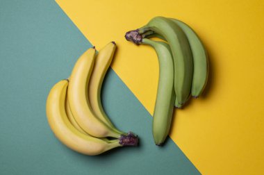 Renkli arka planda sarı ve yeşil muzlar, olgun ve olgunlaşmamış meyve kavramı