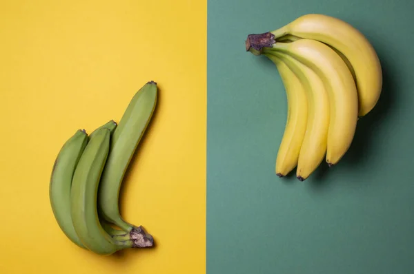 yellow and green bananas on a colored background, ripe and unripe fruit concept