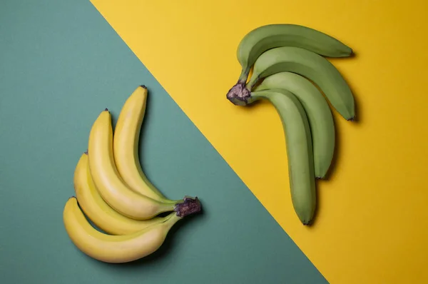 yellow and green bananas on a colored background, ripe and unripe fruit concept