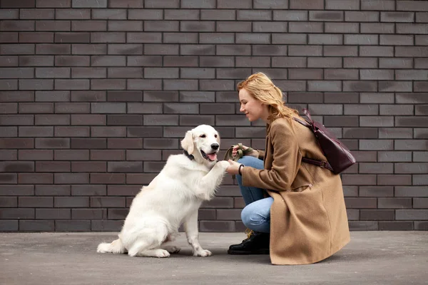 길에서 아름다운 리트리버 강아지가 여성에게 공간을 합니다 — 스톡 사진