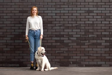 Genç ve güzel şehirli bir kız sokakta bir köpekle duvara dayanıyor. Golden Retriever köpeği olan bir kadın. Kopya alanı.