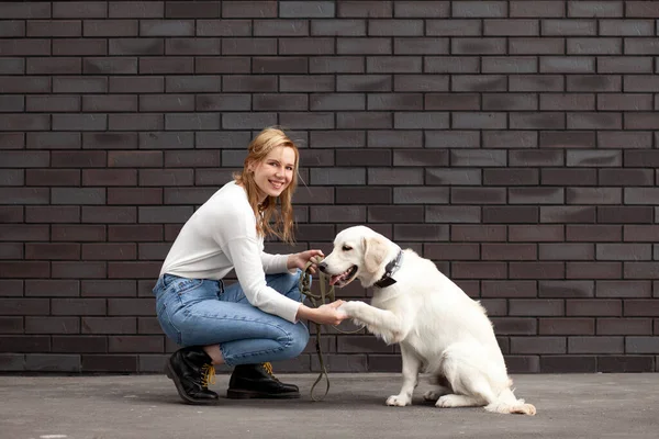 길에서 아름다운 리트리버 강아지가 여성에게 공간을 합니다 — 스톡 사진
