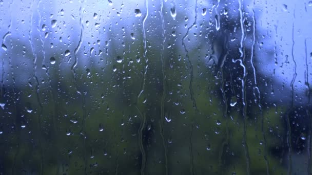 Water Drops Running Window Winter Day Rain Wind Focus Drops — Stock Video