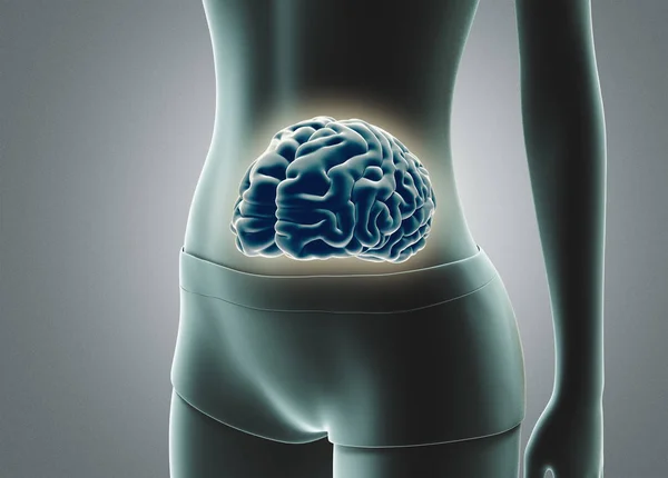 Human Brain Stomach Render Illustration — Stock Photo, Image