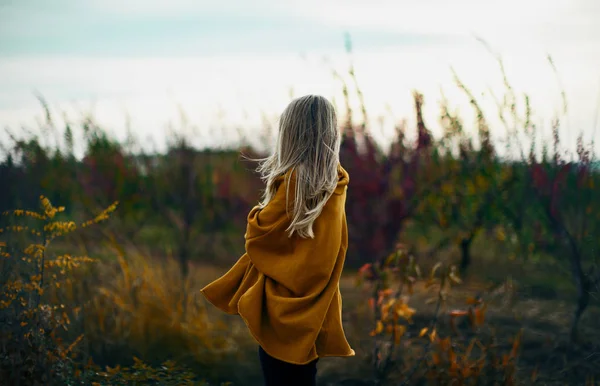 Woman Autumn Field Wind Leaves — Stock Photo, Image