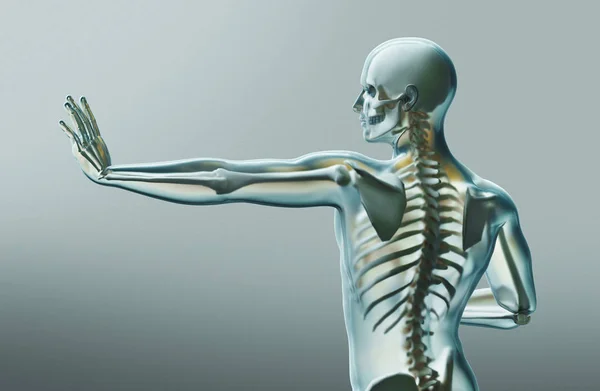 Partes Del Cuerpo Humano Rayos Representación — Foto de Stock