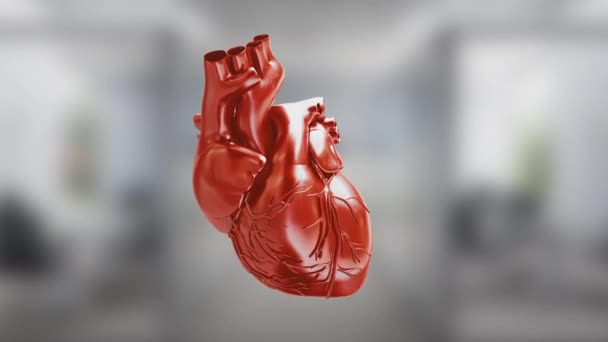 Circulatory system. Heart. Animated 3D — Stock Video