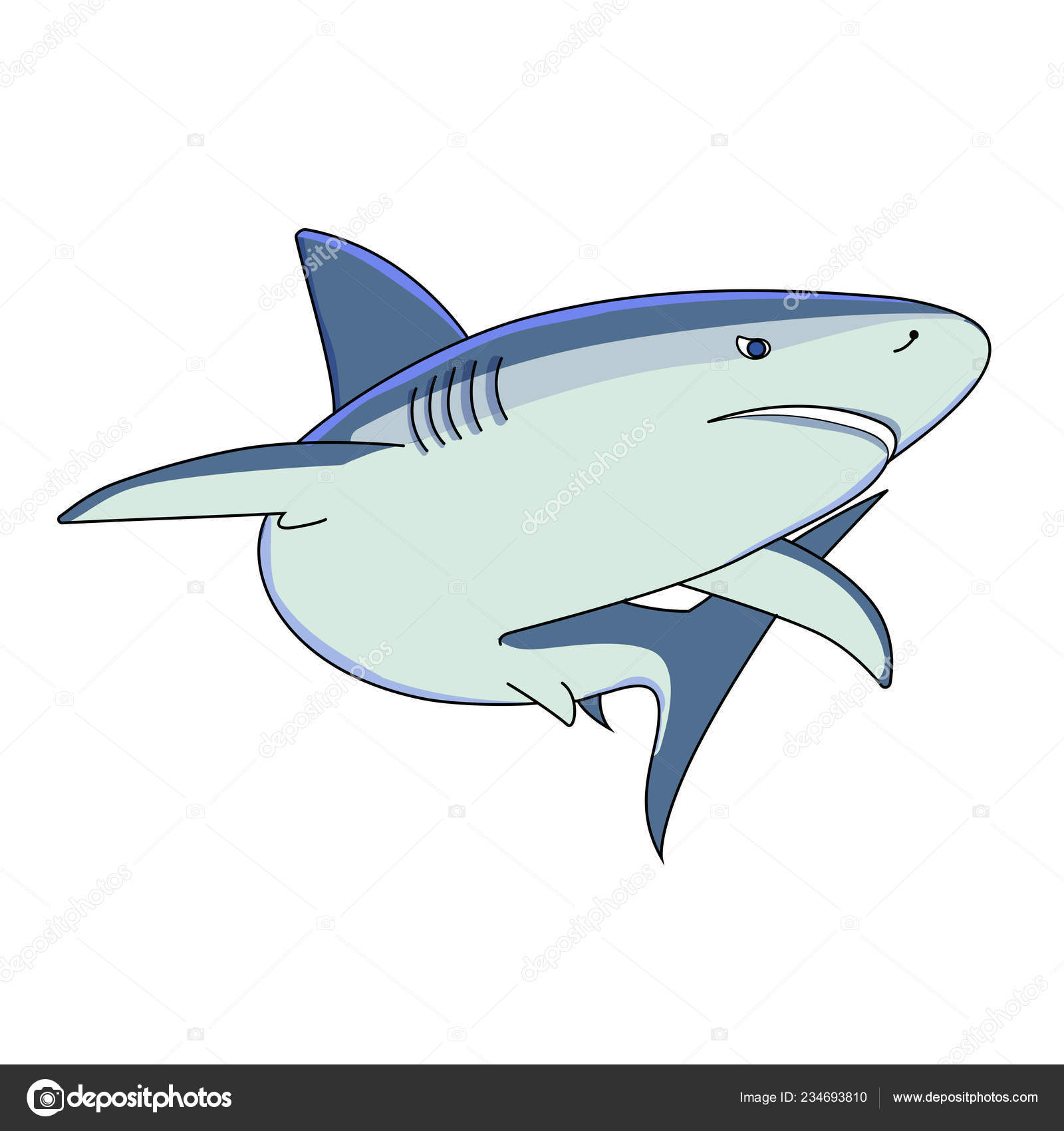 TiburÃ³n Las Islas GalÃ¡pagos Carcharhinus Galapagensis TiburÃ³n GalÃ¡pagos â€” Vector de stock