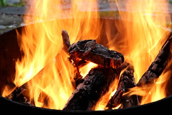 Wood burning with high flames in campfire
