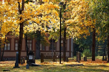 Sarı ağaçlar güzel sonbahar ışığında eski bir mezarlıkta