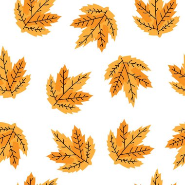 Akçaağaç yapraklarının kusursuz sonbahar deseni.