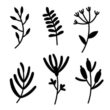 Siyah dallar, broşürler, otlar ve çiçekler..