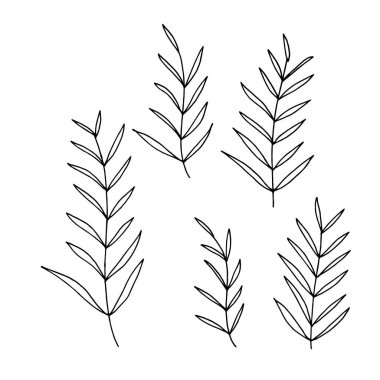 Kalemle çizilmiş basit bir yaprak seti.
