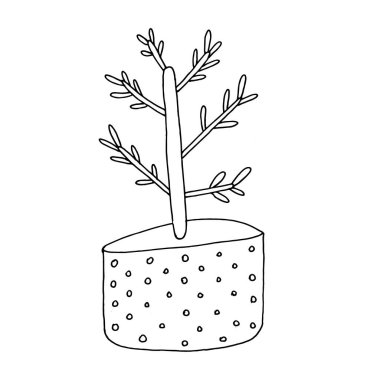 Saksıda çiçek, karalama stiliyle çizilmiş..