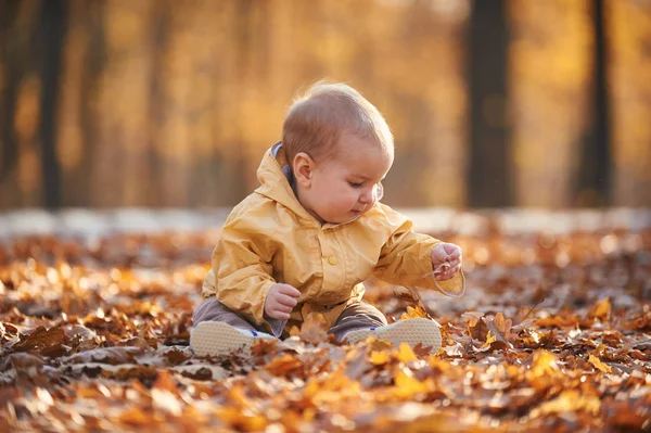 Kis baby boy csúszó között a lehullott levelek az őszi parkban a napsütéses napon — Stock Fotó