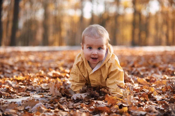 Baby jongetje kruipen onder de gevallen bladeren in de herfst park op zonnige dag — Stockfoto