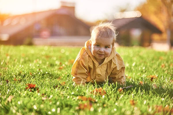 Маленький хлопчик повзає серед опалого листя на зеленому газоні в сонячний день — стокове фото