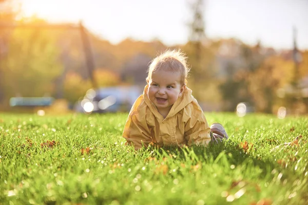 Baby jongetje kruipen onder de gevallen bladeren op het groene gazon op zonnige dag — Stockfoto